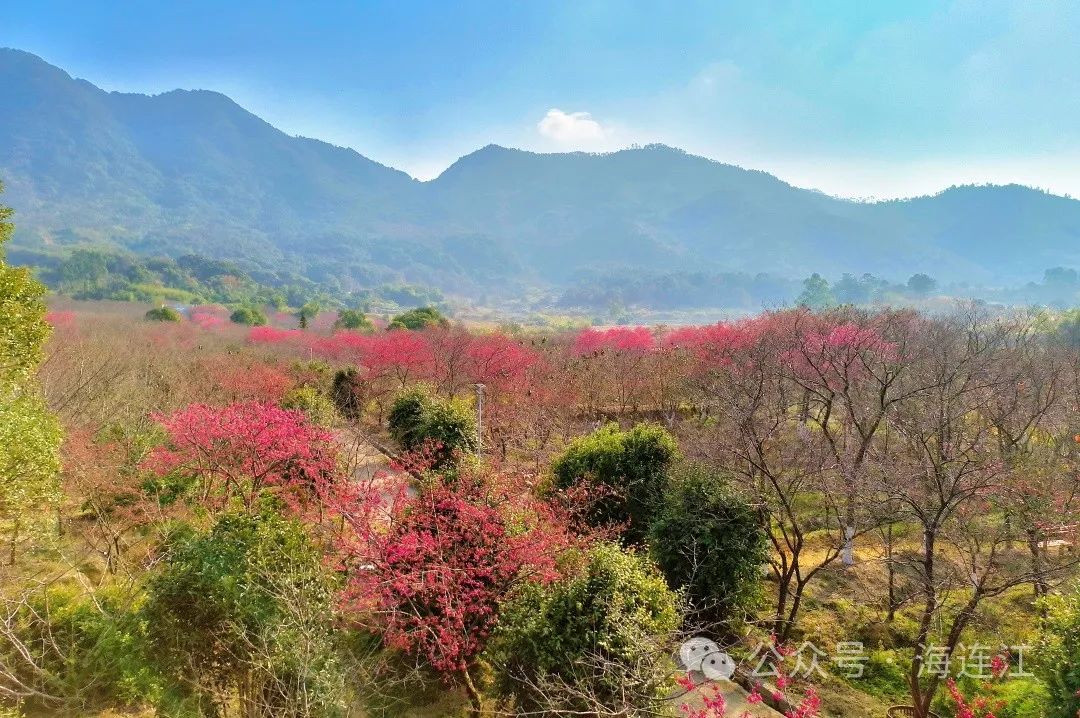 提前上线！福州林阳寺颜值巅峰！
