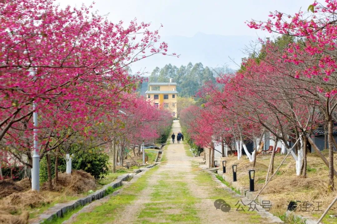 提前上线！福州林阳寺颜值巅峰！