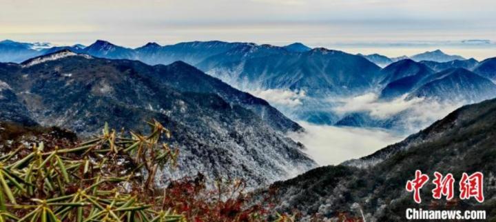 黄冈山红叶绿树，青山云雾缭绕，白雪轻轻点缀。刘达友 摄
