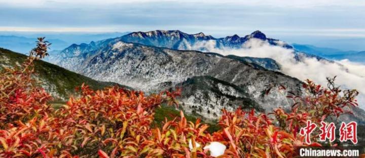 黄冈山远山云雾缭绕，近景红叶灿烂，中景点点白雪掩不了青山秀美。刘达友 摄
