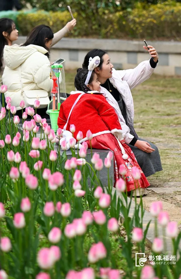 10多万株“花中皇后”！这片花海太美了！