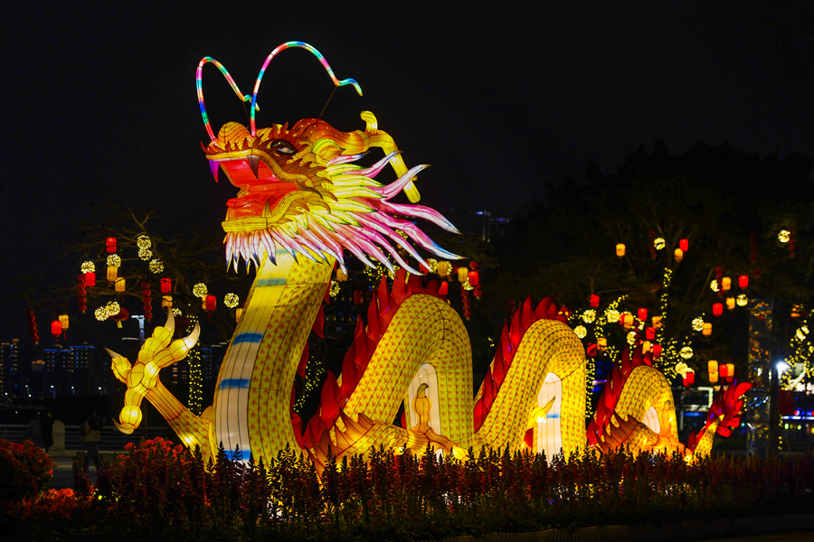滨湖北路旁金龙横卧，新年氛围感拉满。杨劲坚摄