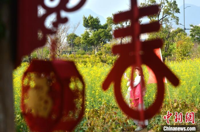 图为游客在梁厝特色历史文化街区游玩、赏花。　中新网记者 吕明 摄