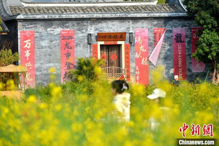 图为游客在梁厝特色历史文化街区游玩、赏花。　中新网记者 吕明 摄