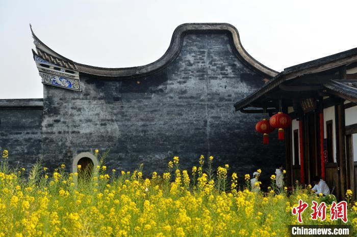 图为油菜花与古厝相得益彰。　中新网记者 吕明 摄