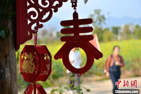 图为游客在梁厝特色历史文化街区游玩、赏花。　中新网记者 吕明 摄