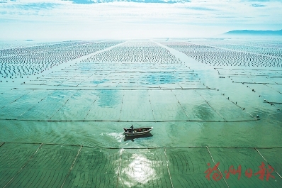 福州蓝碳完成交易量近6万吨