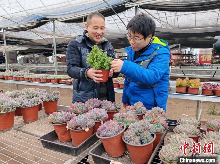 图为林武云(左)正在向游客介绍多肉。中新网记者雷朝良摄