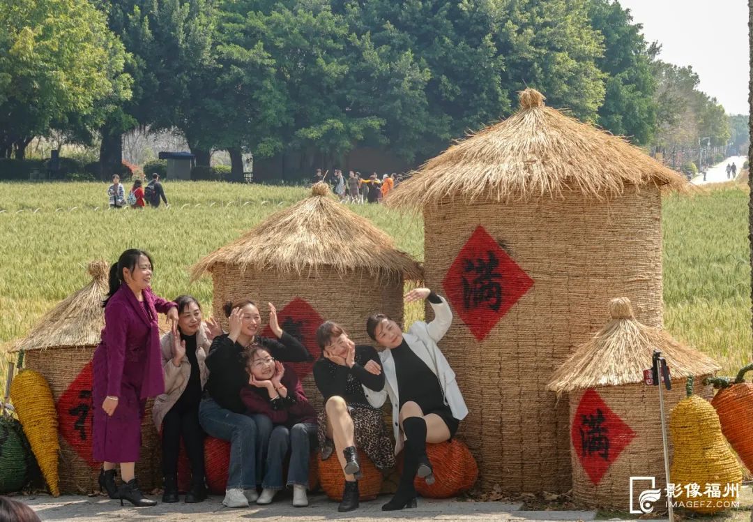 首次亮相!4万多株绝美绽放! 首次亮相!4万多株绝美绽放!
