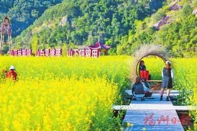 赏花经济催热乡村旅游