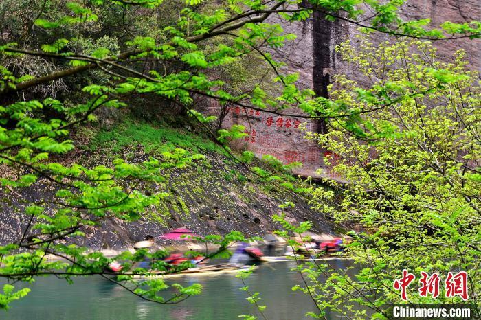 3月21日，武夷山国家公园满目苍翠，溪流蜿蜒，展示了人与自然和谐共生的美好画卷。　中新网记者 张斌 摄