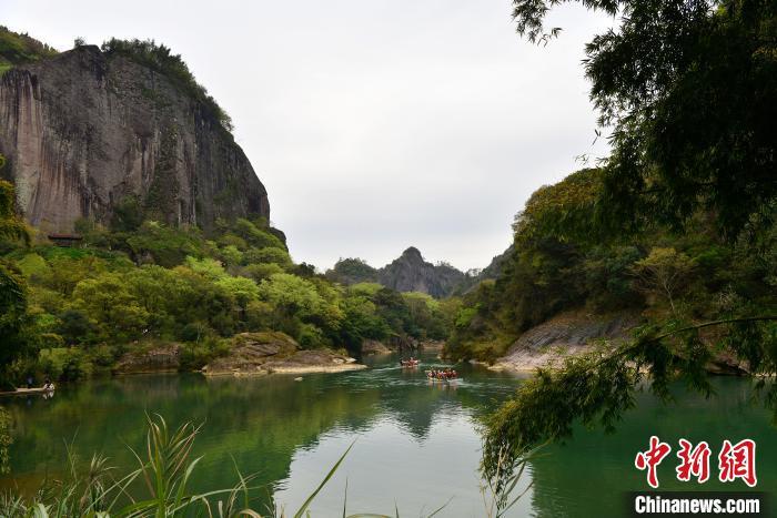 3月21日，主要范围位于福建省南平市的武夷山国家公园满目苍翠，溪流蜿蜒，展示了人与自然和谐共生的美好画卷。　中新网记者 张斌 摄