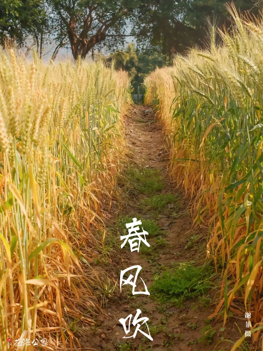 在福州，如何完美地度过春天？