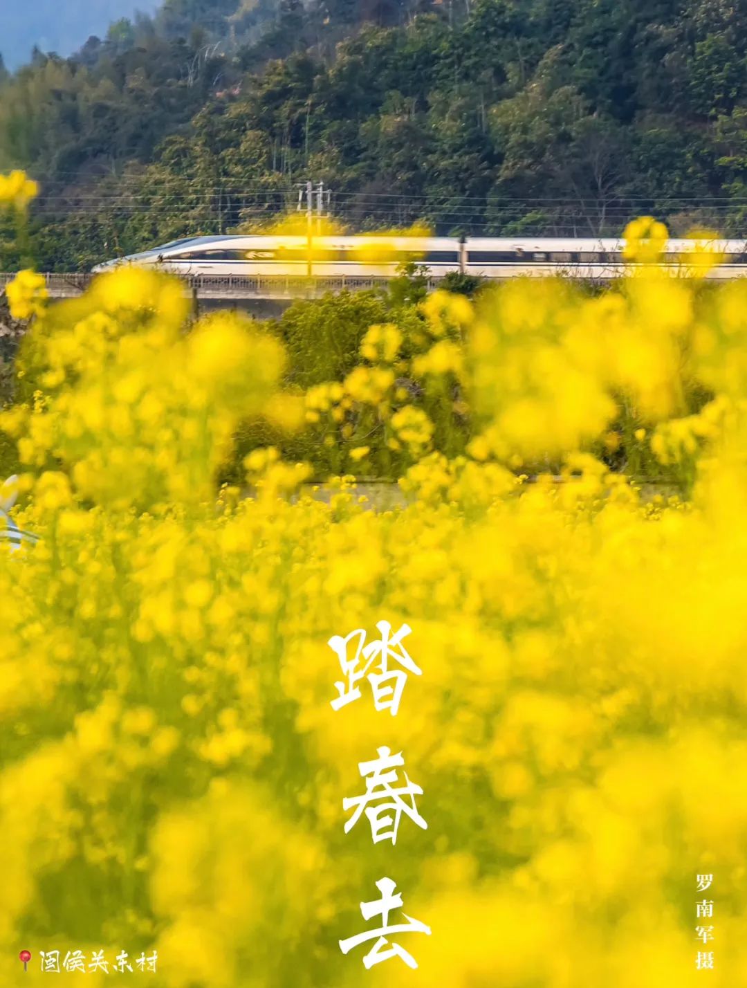 在福州，如何完美地度过春天？