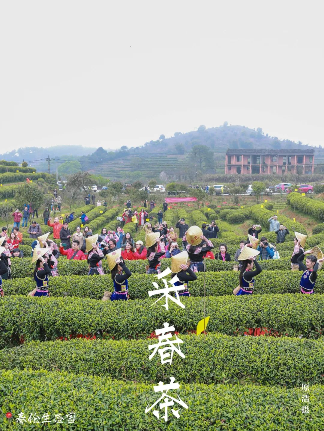 在福州，如何完美地度过春天？