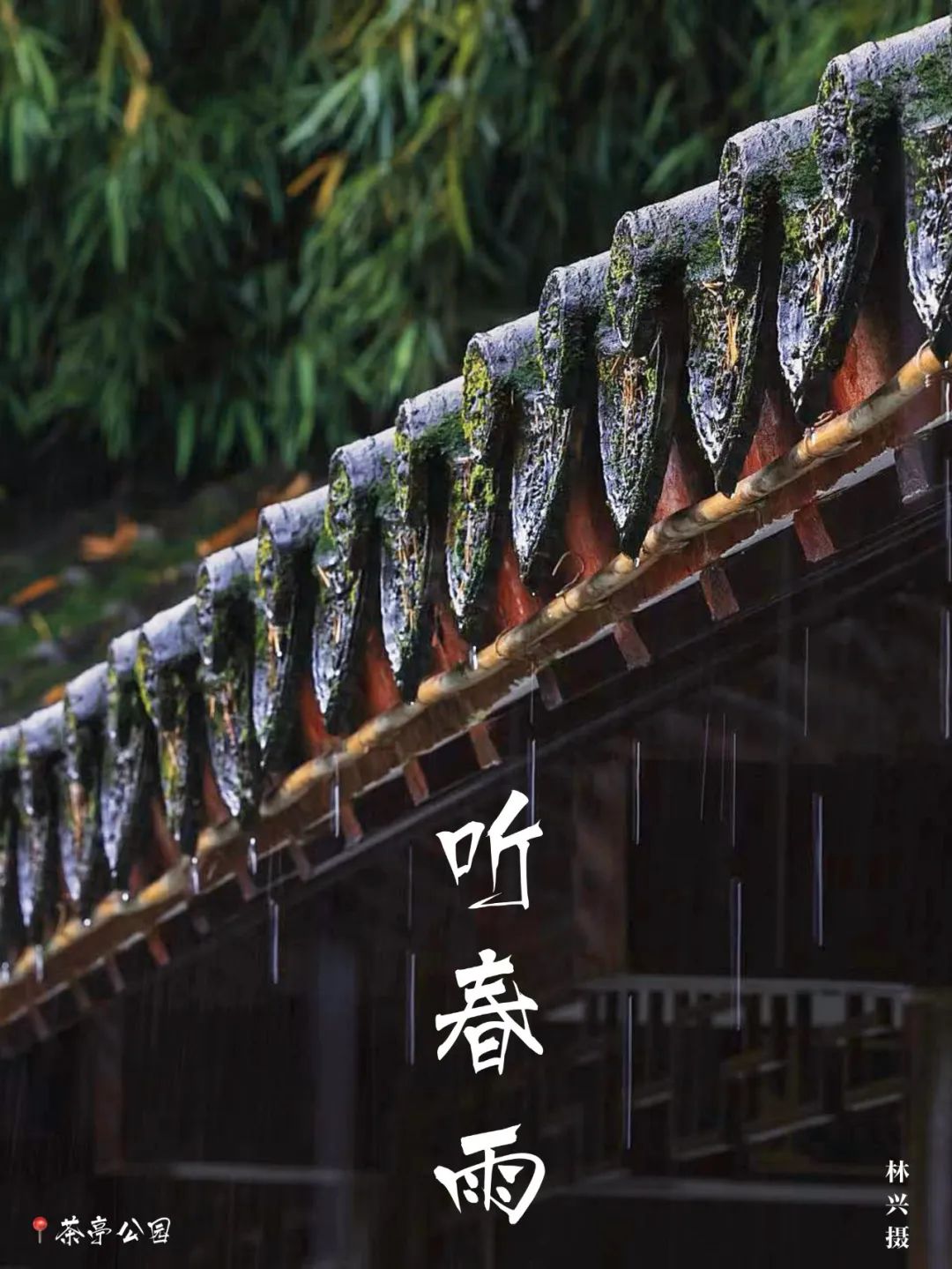 在福州，如何完美地度过春天？