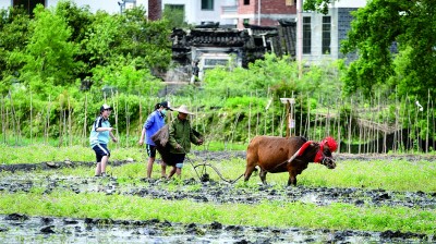 福建连城 培田古村 耕读传家