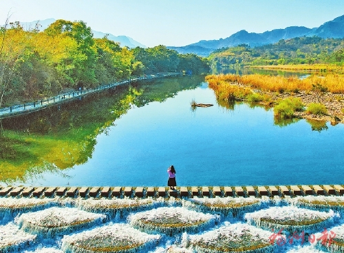 点水成金有妙手 点水成金有妙手