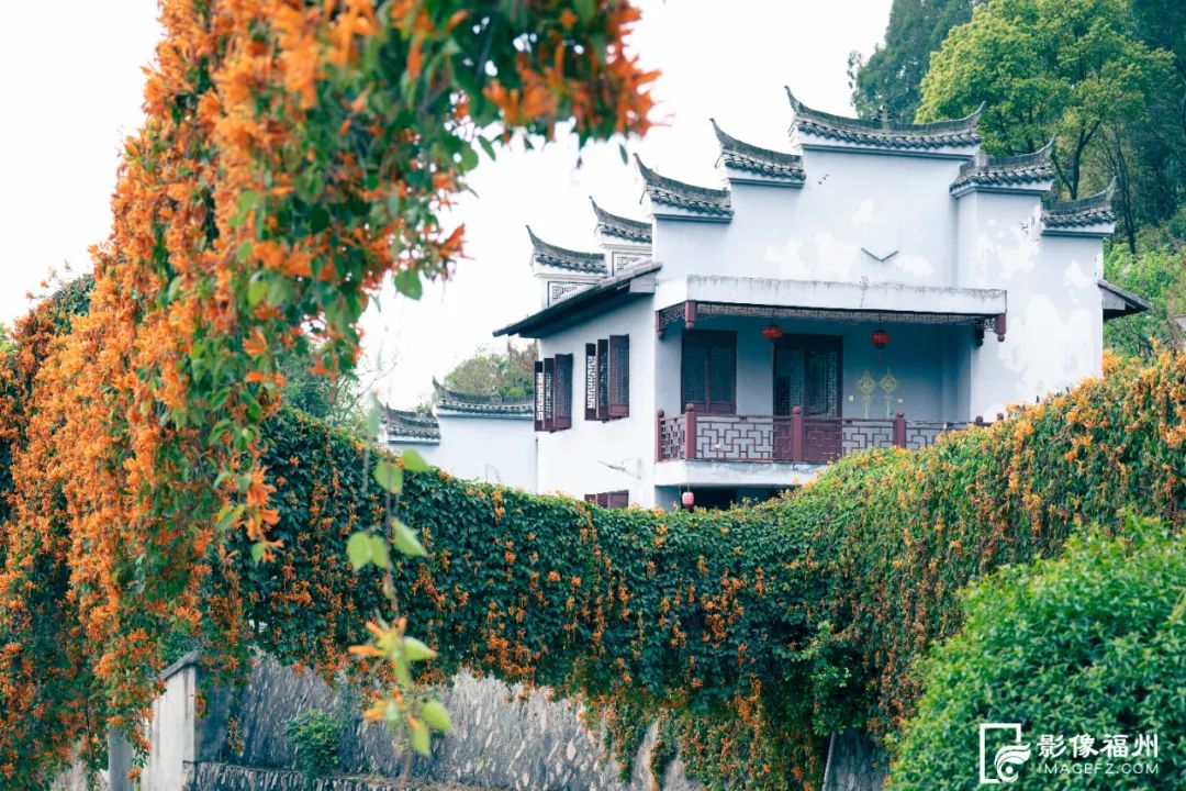 花开了！福州春日追花地图上线！
