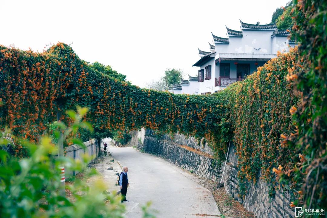 花开了！福州春日追花地图上线！
