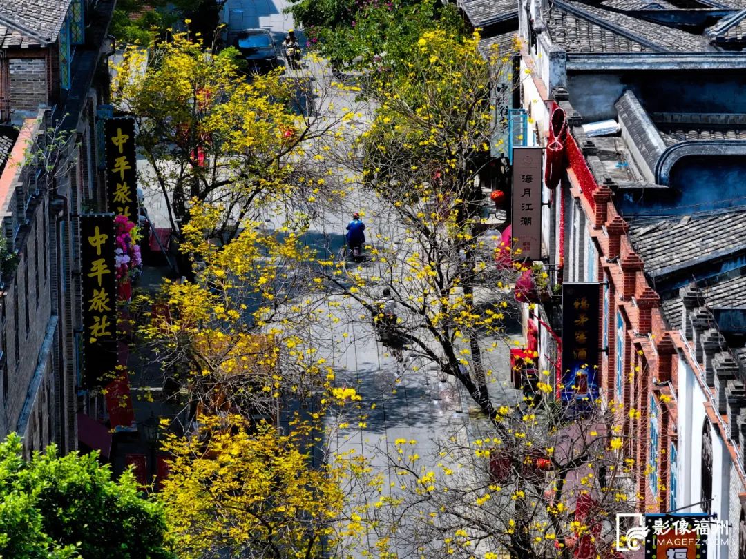 花开了！福州春日追花地图上线！