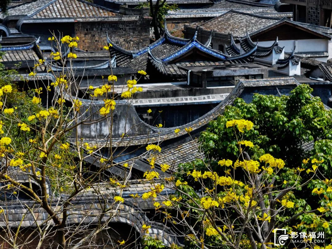 花开了！福州春日追花地图上线！