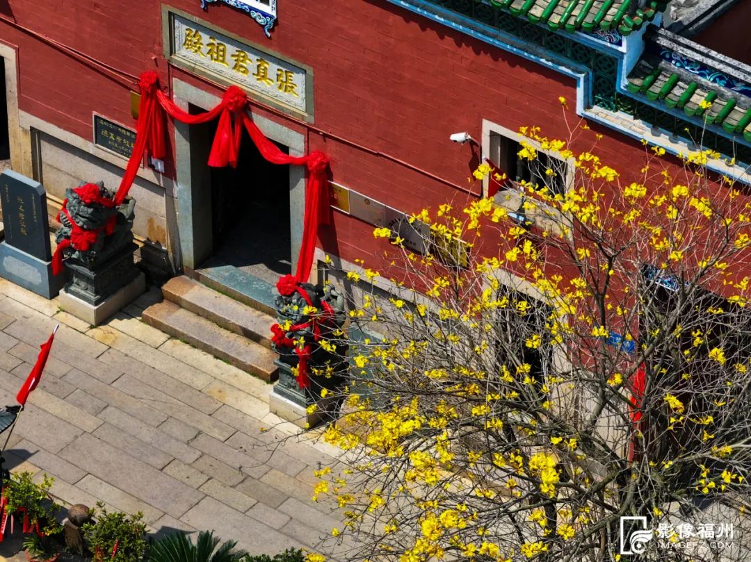 花开了！福州春日追花地图上线！