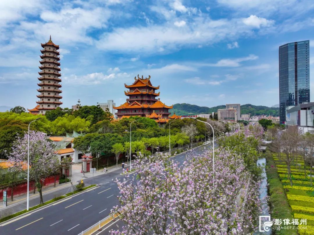 花开了！福州春日追花地图上线！