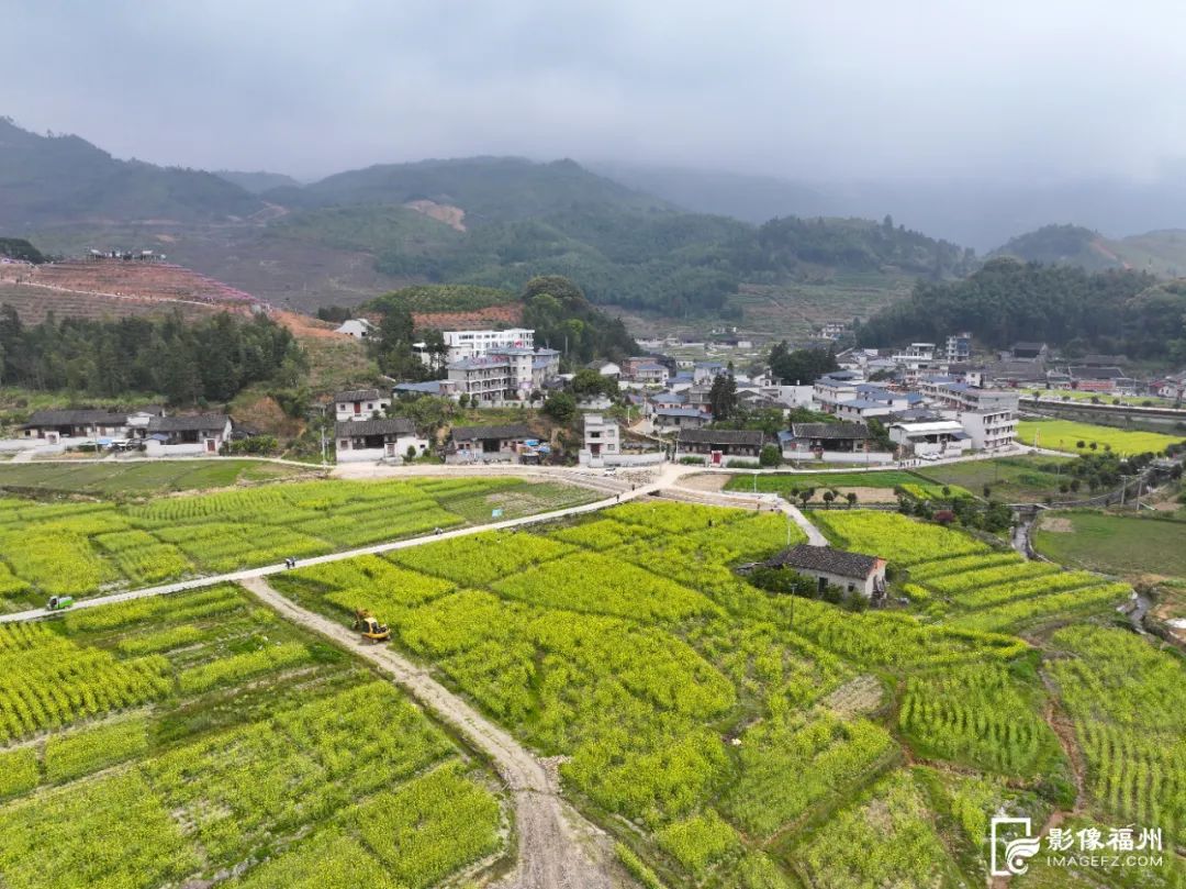 桃花节开幕!福州这里“桃醉”了! 桃花节开幕!福州这里“桃醉”了!