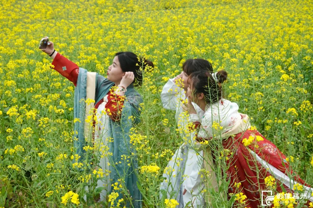 桃花节开幕!福州这里“桃醉”了! 桃花节开幕!福州这里“桃醉”了!