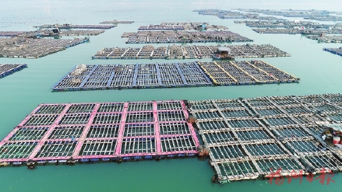 海味山珍　“吃法”升级