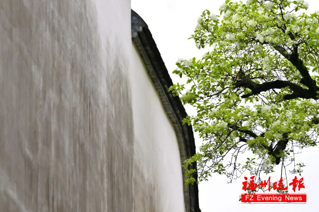 惊艳！就在福州三坊七巷！错过要等一整年！