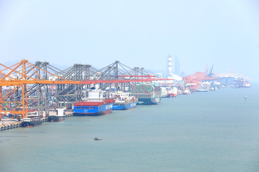 繁忙的厦门自贸片区。厦门自贸片区供图