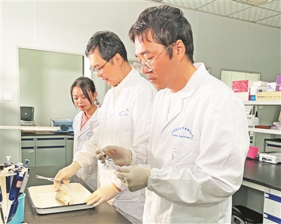 661ddd28832bf.jpg 661ddd28832bf.jpg