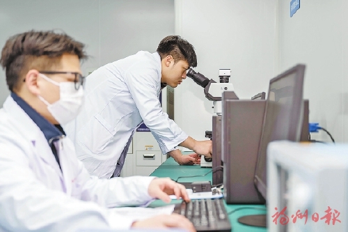 福州科创高地“高”在哪？