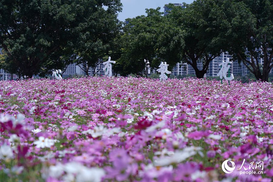 “心有繁花，一路芳华”。人民网记者 兰志飞摄