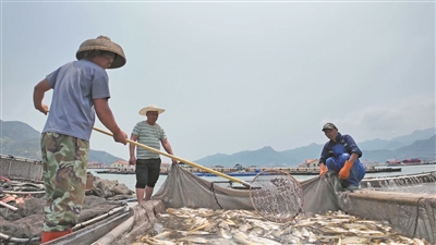 664c0fd1dc771.jpg 664c0fd1dc771.jpg