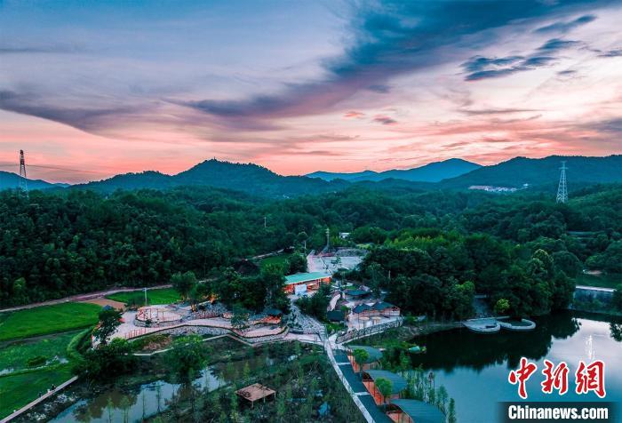 富光村已成为全县乃至全市的旅游休闲打卡地。上杭县融媒体中心供图