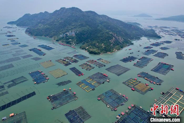 空中俯瞰福建宁德三都澳海上牧场，蔚为壮观。中新网记者 王东明 摄
