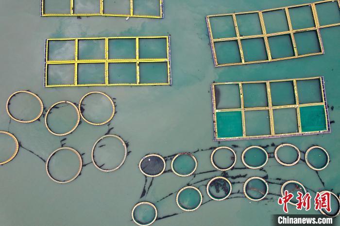 空中俯瞰福建福州连江整齐有序的海上渔排。中新网记者 王东明 摄