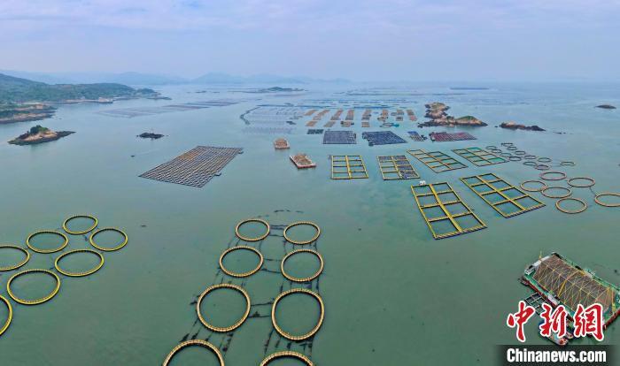 海上养殖区用新型材料替代破旧渔排和白色泡沫球。中新网记者 王东明 摄