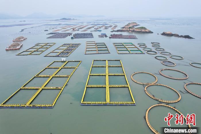 空中俯瞰福建福州连江整齐有序的海上渔排。中新网记者 王东明 摄