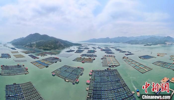 空中俯瞰福建宁德三都澳海上牧场，蔚为壮观。中新网记者 王东明 摄