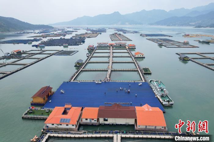 俯瞰福建宁德三都澳海上社区。中新网记者 王东明 摄