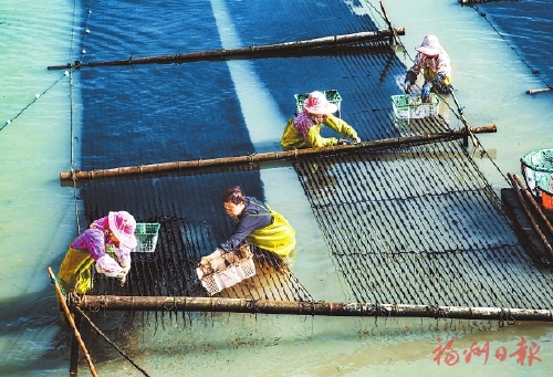 乡村，成为更多人的“诗与远方”