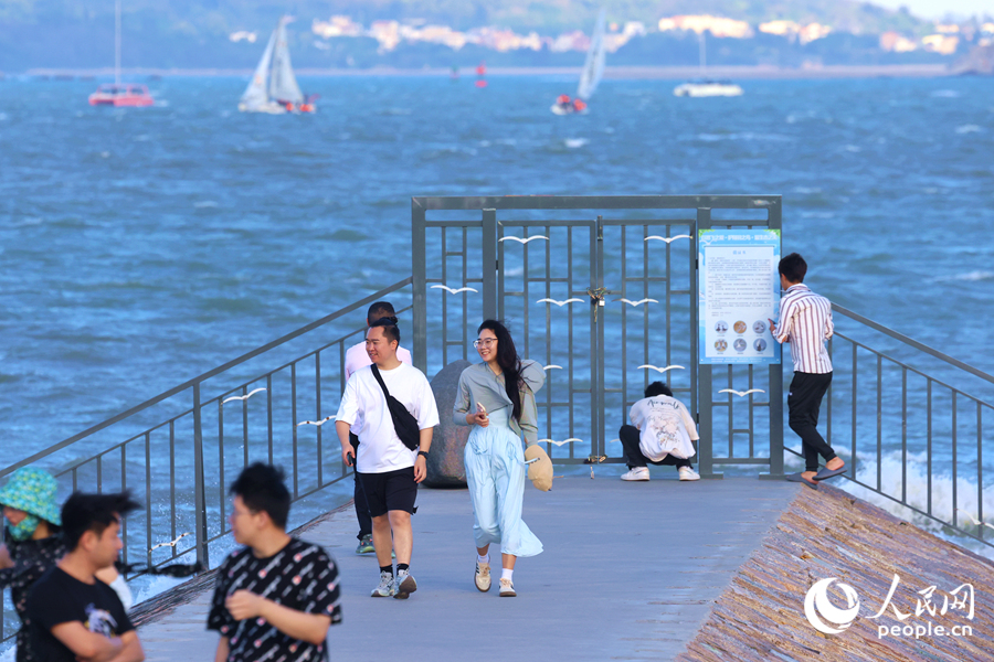 思明区为燕鸥设立的临时保护区。人民网记者 陈博摄