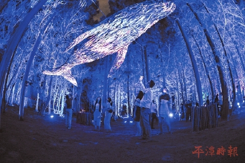 “星球唤想·蓝眼泪”获旅游界奥斯卡奖提名 “星球唤想·蓝眼泪”获旅游界奥斯卡奖提名