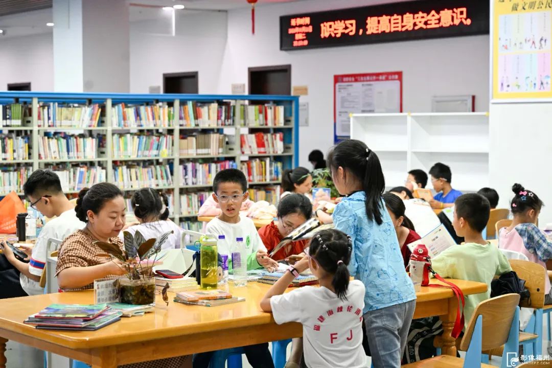 这个夏日,在福州过“书式”生活! 这个夏日,在福州过“书式”生活!