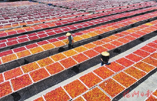 永泰李果屡推新“吃法”