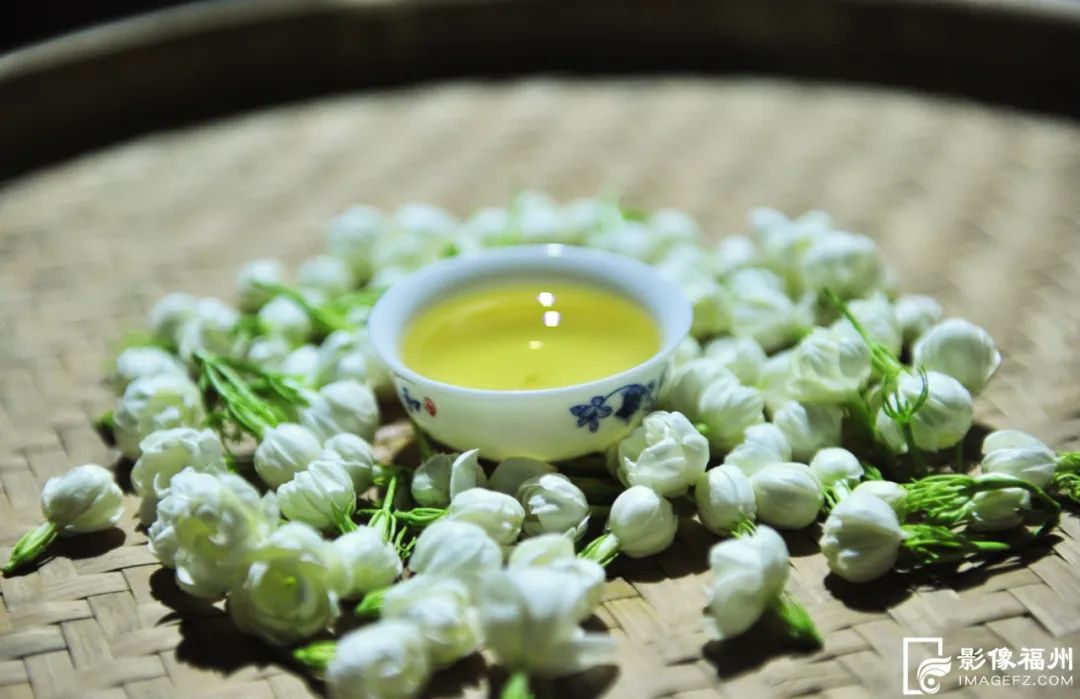 没有什么花比她更懂福州的夏天! 没有什么花比她更懂福州的夏天!